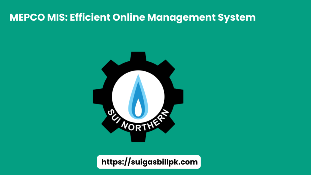 MEPCO MIS Efficient Online Management System