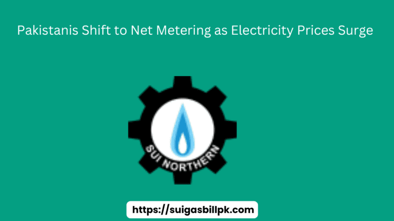 Pakistanis Shift to Net Metering as Electricity Prices Surge