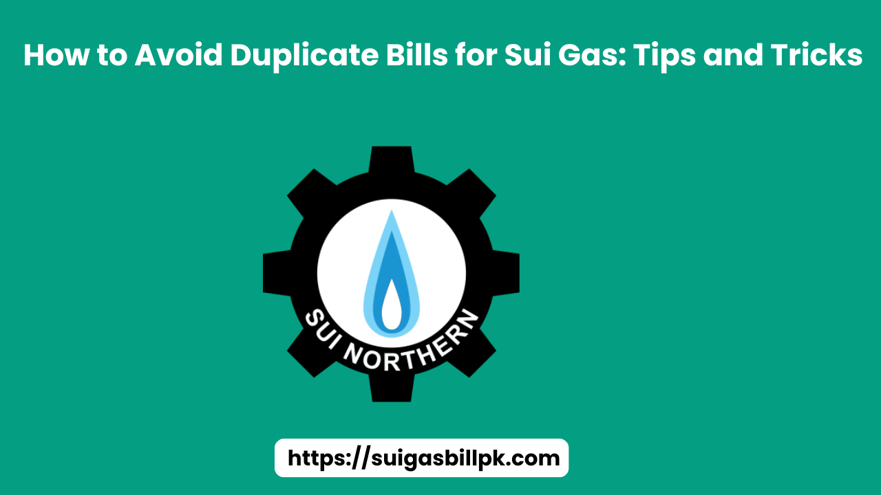 How to Avoid Duplicate Bills for Sui Gas: Tips and Tricks